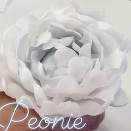 white icing rose